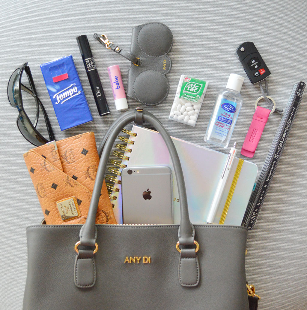 What S In My Bag Any Di
